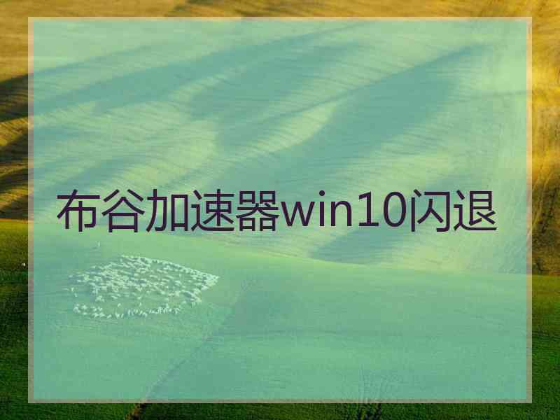 布谷加速器win10闪退